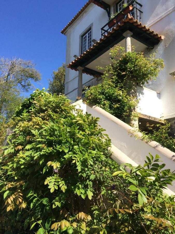 Villa Branca Jacinta ซินตรา ภายนอก รูปภาพ
